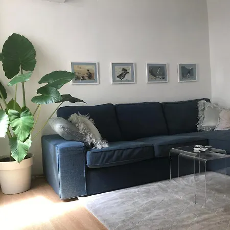 Apartament Corto